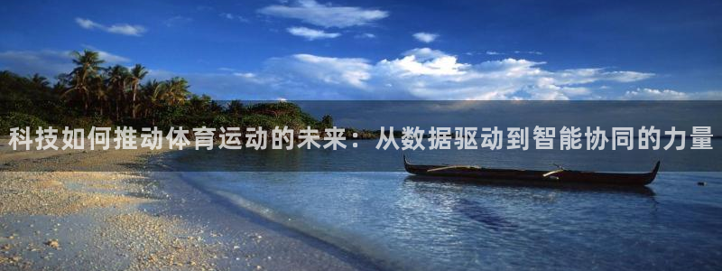 科技如何推动体育运动的未来：从数据驱动到智能协同的力量