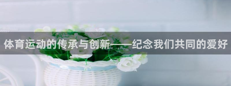 体育运动的传承与创新——纪念我们共同的爱好