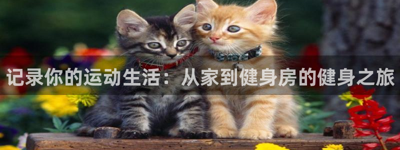 记录你的运动生活：从家到健身房的健身之旅