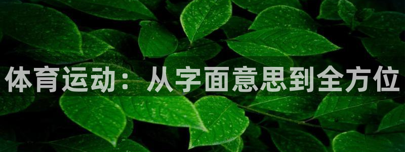 体育运动：从字面意思到全方位