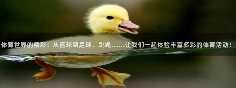 体育世界的精彩：从篮球到足球、跳绳……让我们一起体验丰富多彩的体育活动！