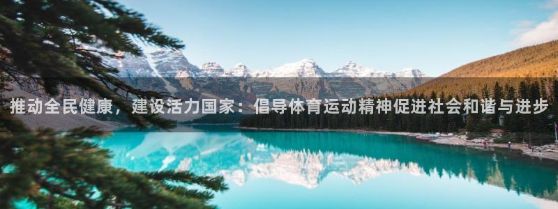 推动全民健康，建设活力国家：倡导体育运动精神促进社会和谐与进步