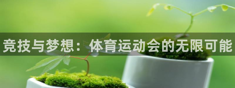 竞技与梦想：体育运动会的无限可能