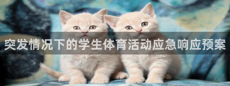 突发情况下的学生体育活动应急响应预案