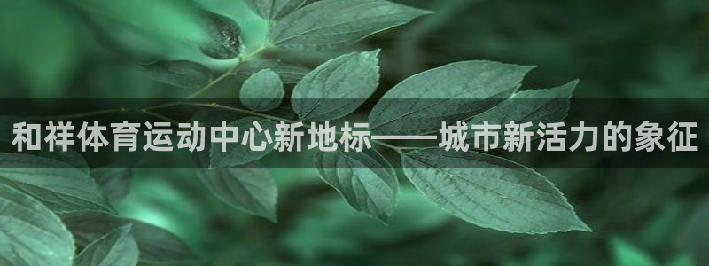 和祥体育运动中心新地标——城市新活力的象征