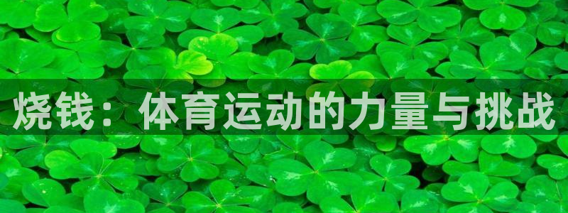 烧钱：体育运动的力量与挑战