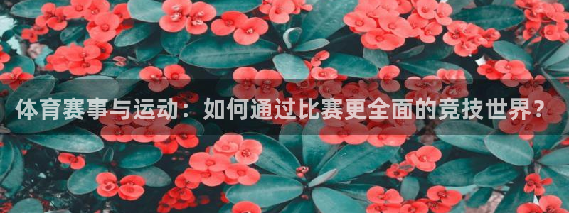 体育赛事与运动：如何通过比赛更全面的竞技世界？