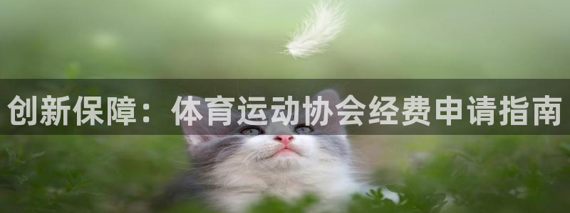 创新保障：体育运动协会经费申请指南