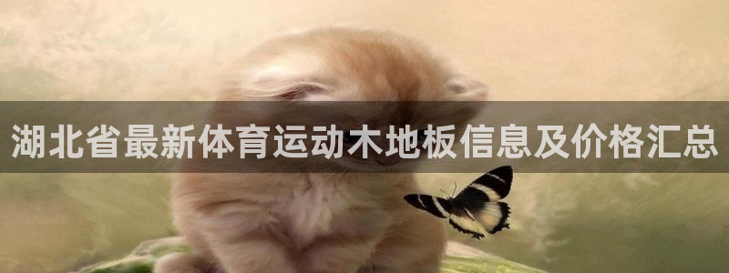 湖北省最新体育运动木地板信息及价格汇总