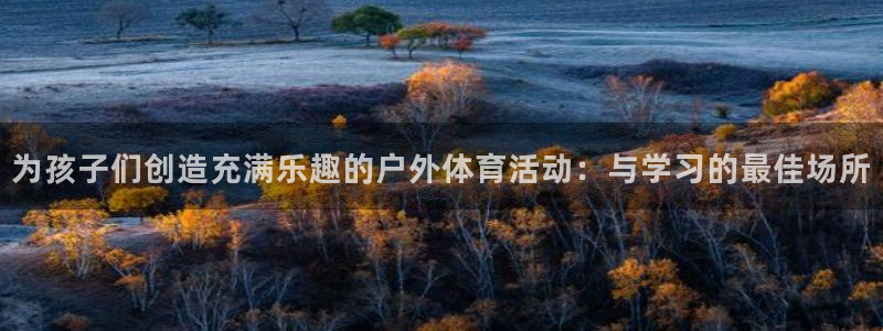 为孩子们创造充满乐趣的户外体育活动：与学习的最佳场所