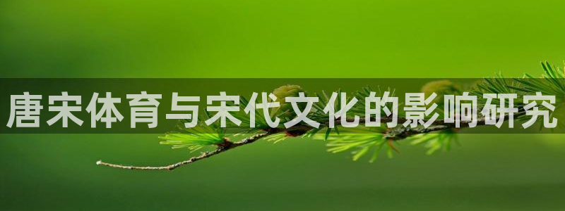 唐宋体育与宋代文化的影响研究