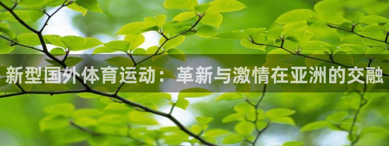 新型国外体育运动：革新与激情在亚洲的交融