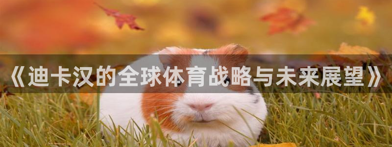 《迪卡汉的全球体育战略与未来展望》
